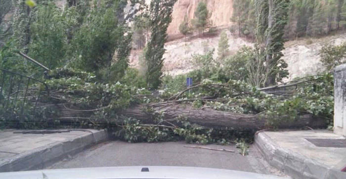 Cortada durante dos horas la CM-2105 en Cuenca tras la caída de dos árboles por las tormentas