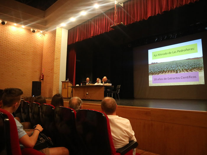 El Ajo de Las Pedroñeras, el “medicamento natural” contra el Shock Séptico, los tumores y la cicatrización de heridas