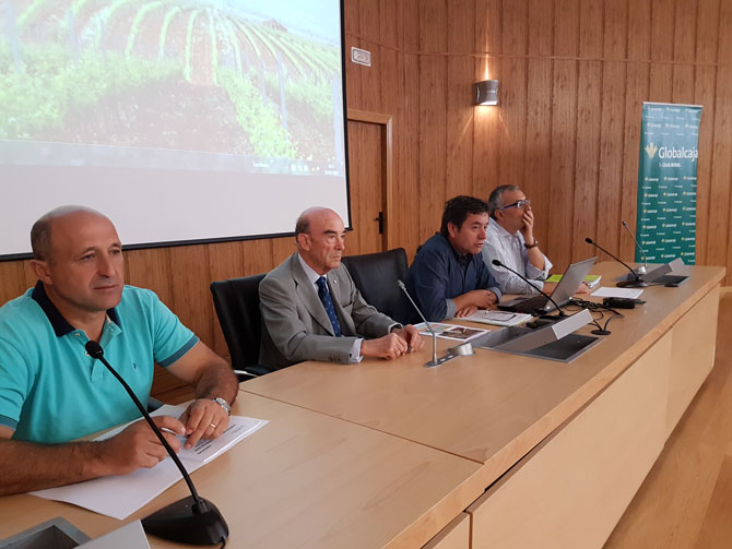 Nueva apuesta de Globalcaja en la defensa y promoción del mundo del vino de la región