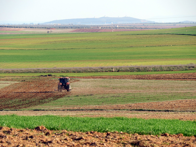  Castilla-La Mancha quiere que la nueva PAC tenga en cuenta “a los trabajadores del campo”