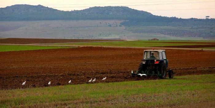  El Gobierno de Castilla-La Mancha se muestra contrario a que se flexibilicen los criterios para que agricultores que no son profesionales cobren la PAC