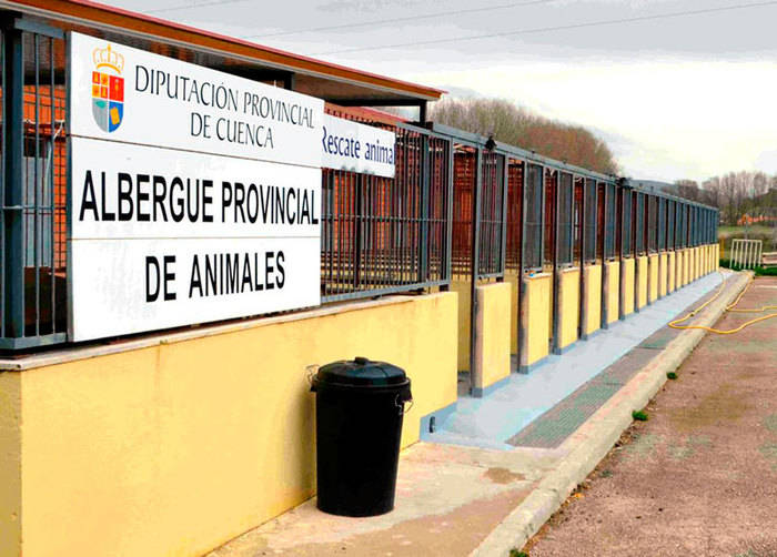 García Casado: “Diputación nunca ha dejado de trabajar para garantizar el servicio del Albergue de Animales”