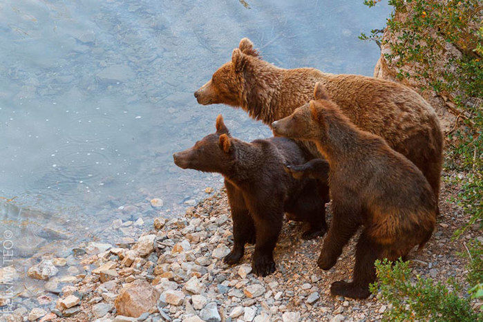 La Consejería de Empleo y Economía promocionará cada mes distintos “rincones” de Castilla-La Mancha