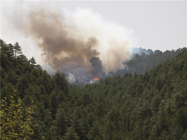 Se declara un incendio forestal en Puebla de Don Rodrigo 