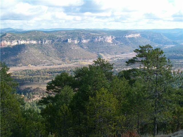 EQUO rechaza la venta de montes públicos en Castilla La Mancha a propietarios de fincas de caza