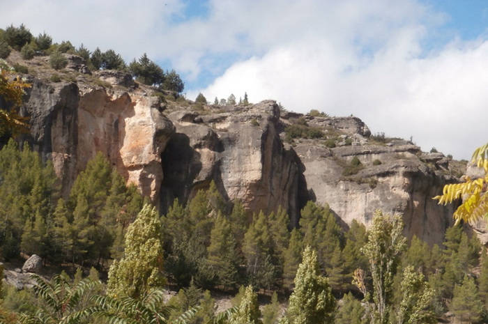 FSC CCOO-Cuenca reitera su rechazo a la reforma de la Ley de Montes