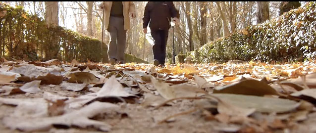 Envejece, que no es poco