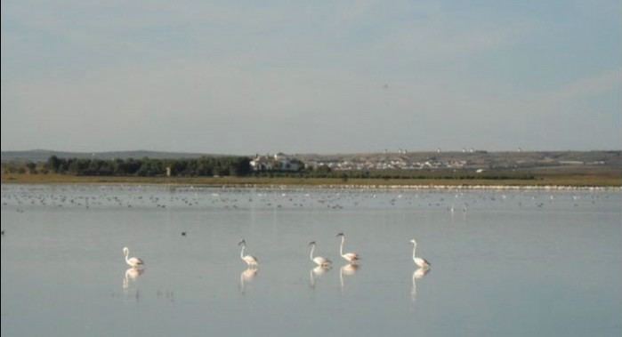 Amplio programa de actividades en Mota del Cuervo con motivo del “Día de los Humedales”