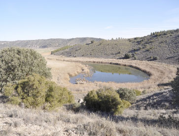La laguna de los Capellanes y su entorno