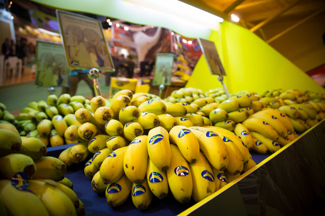 Los productores de Plátano de Canarias entregan 20.000 kilos de plátanos al Banco de Alimentos de Albacete
