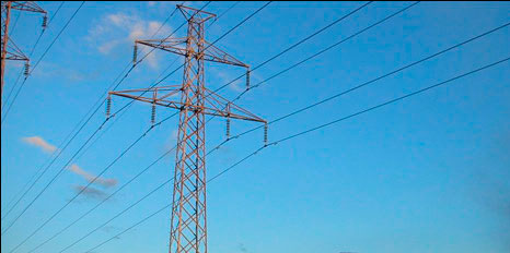 Reparan 18 postes de luz entre Cuenca y Albacete para evitar las electrocuciones de las rapaces
