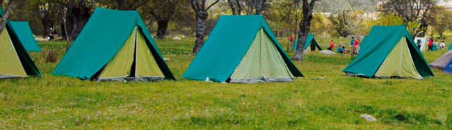 El Consejo Municipal de la Infancia celebra una acampada