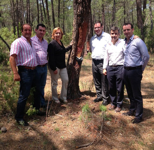 Soriano apoya la actividad resinera y destaca que “permite complementar la renta de muchas familias en las zonas rurales”