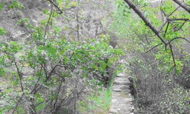 Agricultura y la ‘Fundación La Caixa’ restauran la zona de ‘El Molino de la Vereda’