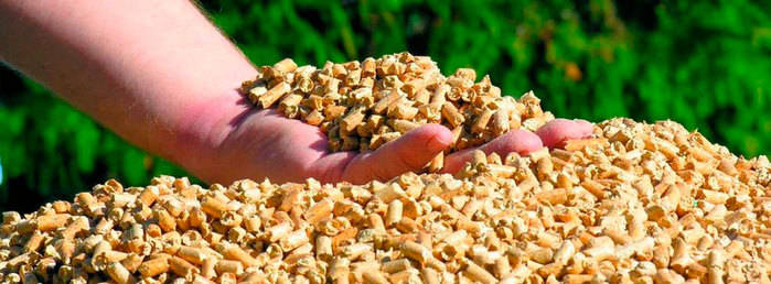 Los populares defienden que el Ayuntamiento tuvo que modificar el contrato inicial para que la planta de biomasa fuera viable