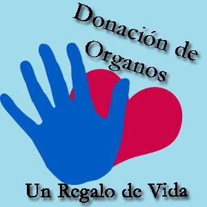 Castilla-La Mancha incrementa en un 42 por ciento el número de donaciones de órganos