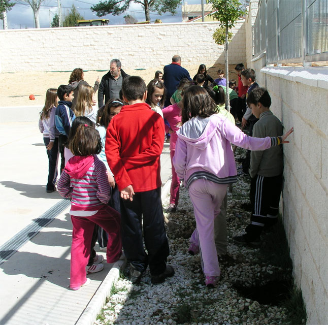 El archivo colabora con el colegio de Villalba en la celebración del Día del Árbol