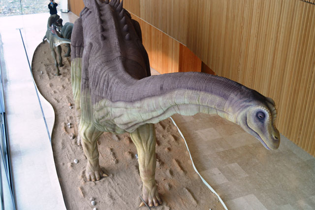 El Museo de Paleontología recibe 11.000 visitas en su primer mes