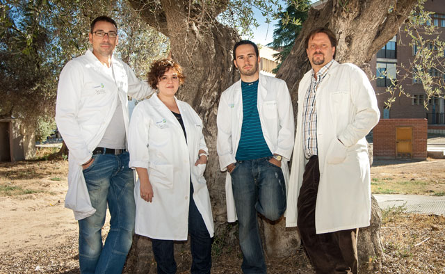 Investigadores de Parapléjicos luchan contra el dolor y la ansiedad con una molécula modificada de aceite de oliva