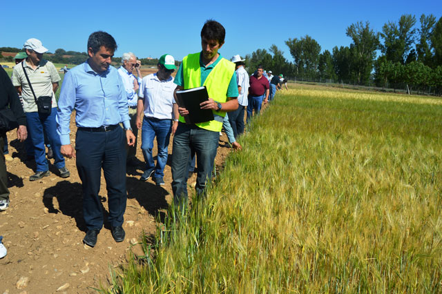 Unos 150 agricultores asisten a las Jornadas de Puertas abiertas del Centro de Investigación Agraria de Albaladejito