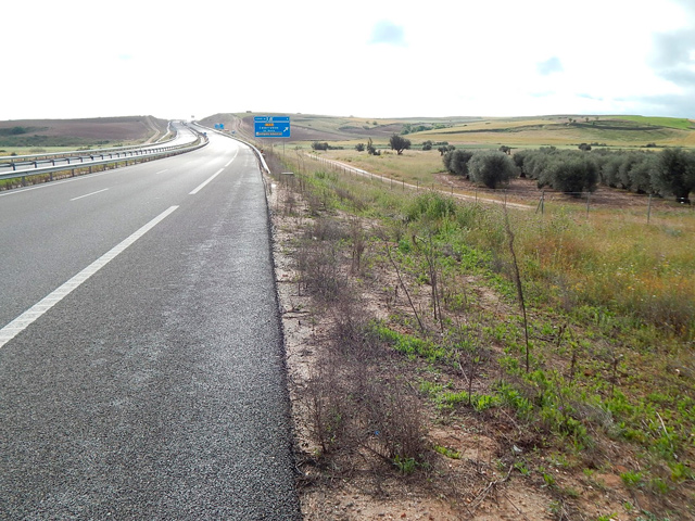 Denunciamos el empleo masivo de glifosato en las carreteras castellano-manchegas