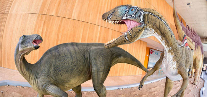 El Museo de Paleontología oferta talleres de verano para escolares 