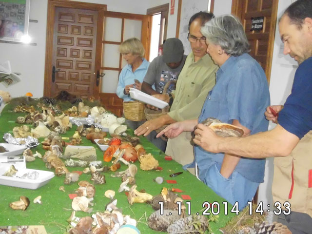 VIII jornadas micológicas de Cardenete
