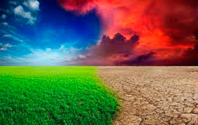  Castilla-La Mancha apuesta por la lucha contra el cambio climático y destaca el papel de la agricultura en la reducción de las emisiones