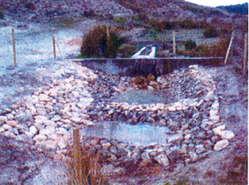 La Consejería de Agricultura restaura el hábitat para la comunidad de herpetofauna amenazada en la provincia