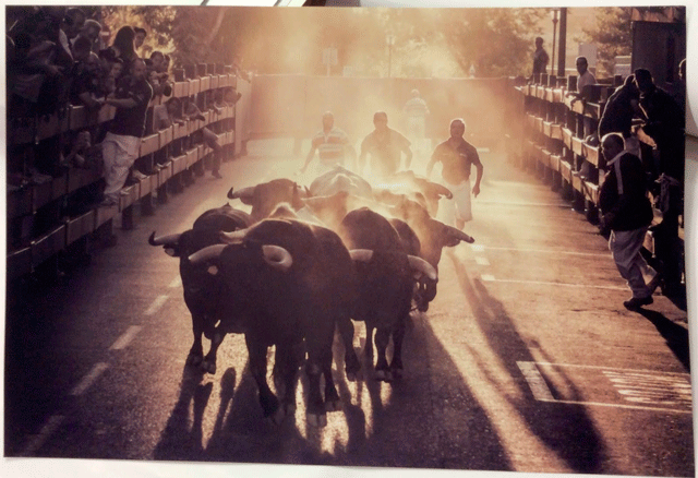 El conquense Alejandro Simón gana el primer premio de la XIVª edición del concurso de Fotografía del Encierro de Sanse 2014 