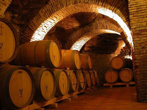 Agricultura abona 1,3 millones de euros para 21 proyectos de modernización de bodegas