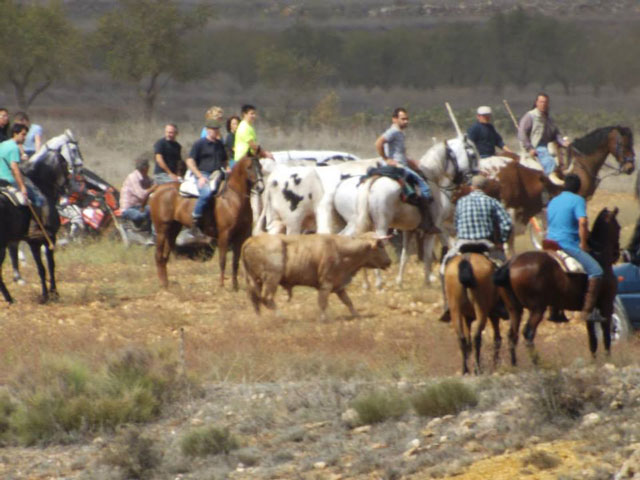 La Feria de San Miguel de 2015 se consolida como evento de referencia de la Serranía Baja conquense