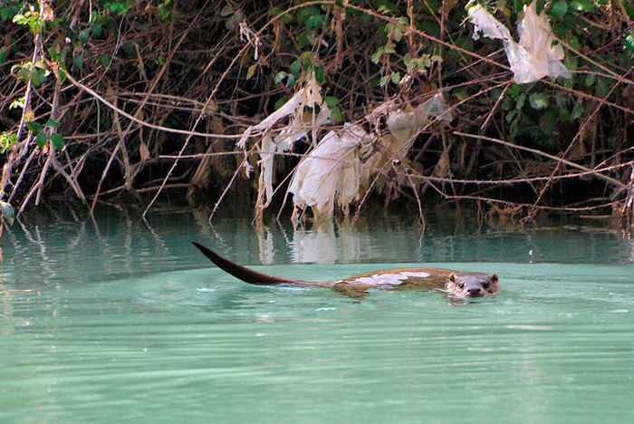 Una fotografía de Miguel A. Durán Fernández-Tostado, ganadora del concurso de fotodenuncia “Cuenca en tu objetivo”
