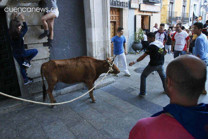 Las Fiestas de San Mateo 2014 en imágenes