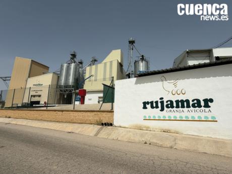 Rujamar ampliará su explotación ecológica de Honrubia con una nueva nave para 55.000 pollitas