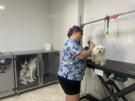 La Barbería del Tío Blade abre sus puertas en Tarancón como nueva peluquería canina