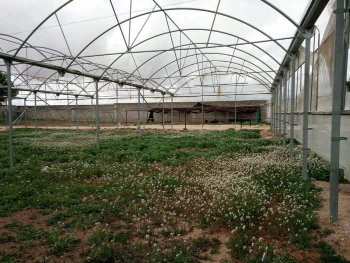 Alumnos de Castilla-La Mancha ayudan a recuperar la biodiversidad agrícola de la región
