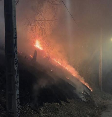 Sofocado un incendio en la ladera del Parque de Los Moralejos