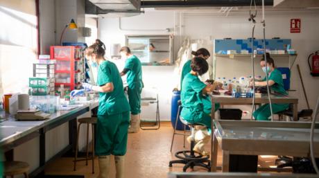 La UCLM destina una inversión histórica para atraer y retener talento científico
