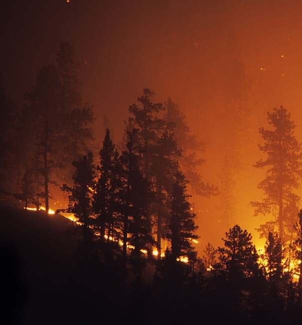 La Red SSPA alerta de que los incendios refuerzan la urgencia de actuar contra la despoblación rural