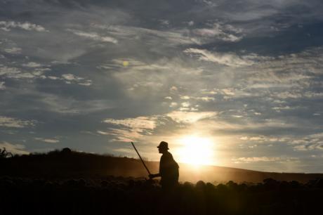 Jorge Sanz retrata la memoria viva de la trashumancia que marcó la historia de Cuenca