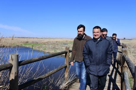 Castilla-La Mancha colabora en un proyecto europeo para frenar el descenso del carricerín cejudo, el ave más amenazada en Europa