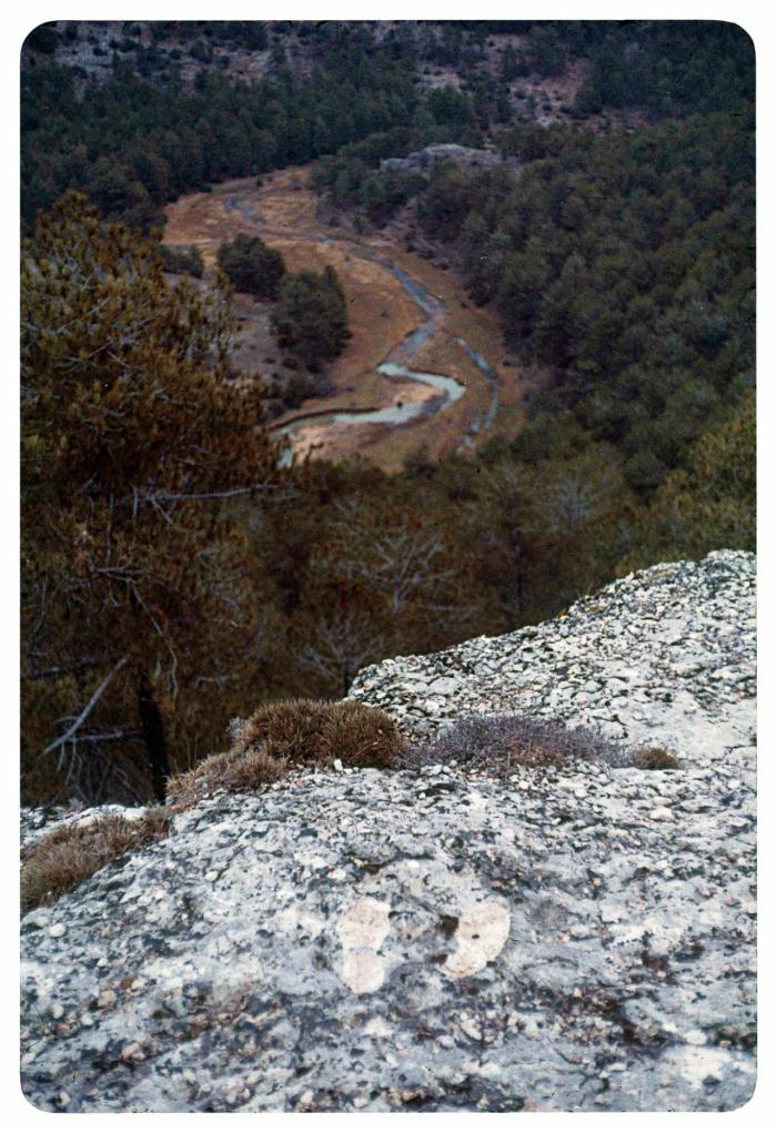 El Museo de Arte Abstracto Español presenta Luis Muro. Contranatura, una muestra de “Land Art” en Tierra Muerta de Cuenca