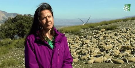 La RACAL traslada al jueves su próxima charla sobre la trashumancia