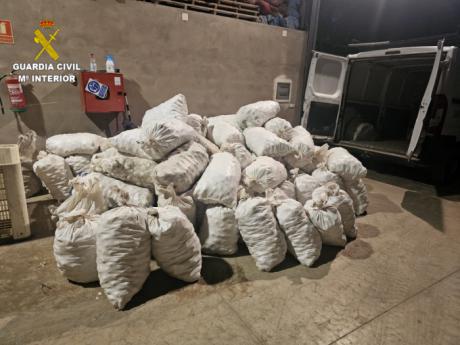 Detienen a un hombre por hurto de 3.360 kilos de ajos en la provincia