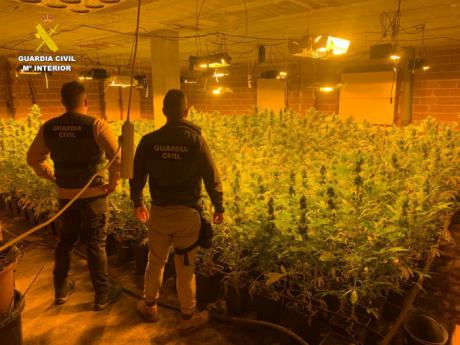 Desmantelada una plantación “indoor” de marihuana