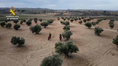 La Guardia Civil despliega drones, helicópteros y unidades especiales por la campaña del olivar