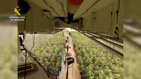 La Guardia Civil desmantela una plantación indoor de marihuana