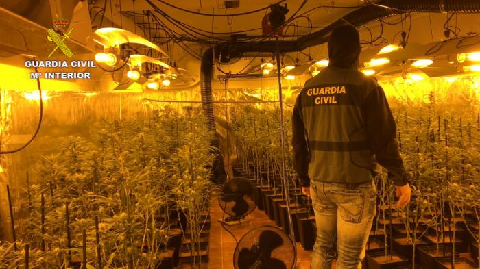 La Guardia Civil detiene en Toledo a 8 personas por cultivo y tráfico de marihuana