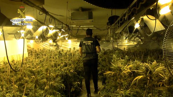 La Guardia Civil incauta 4.638 plantas de marihuana